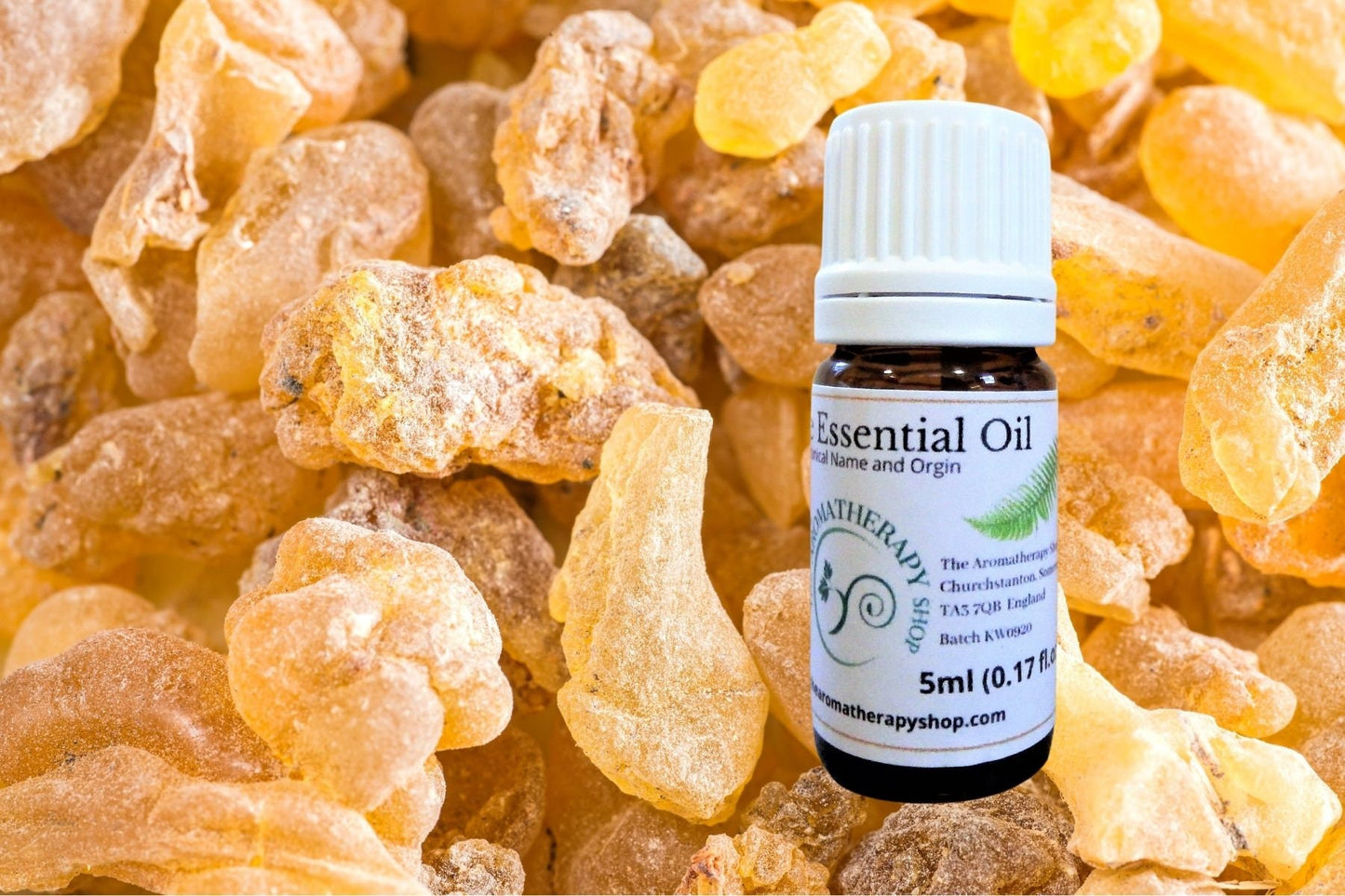 Indian Frankincense Pure Essential Oil ( Boswellia serrata ) / Organic