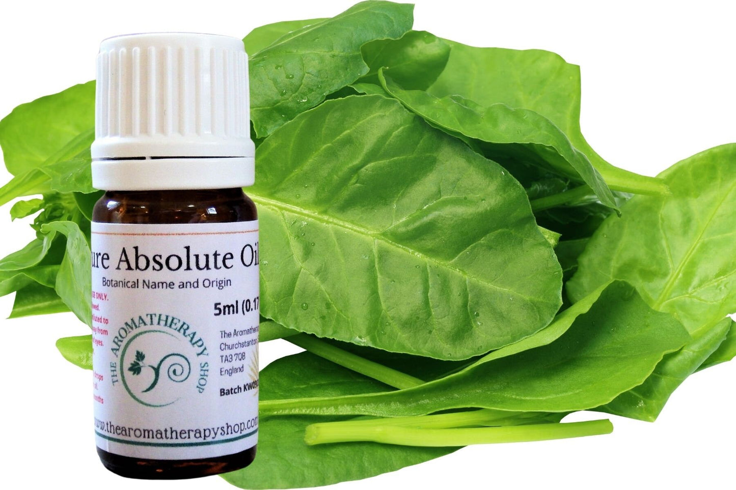 Spinach Leaf Absolute Oil / Origin: China