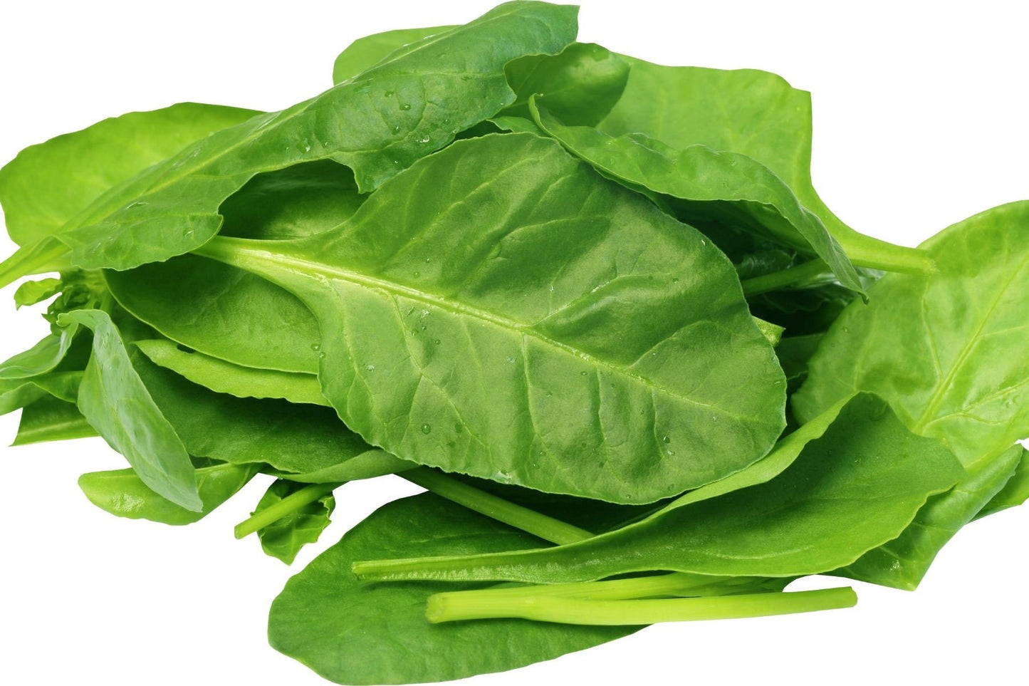 Spinach Leaf Absolute Oil / Origin: China