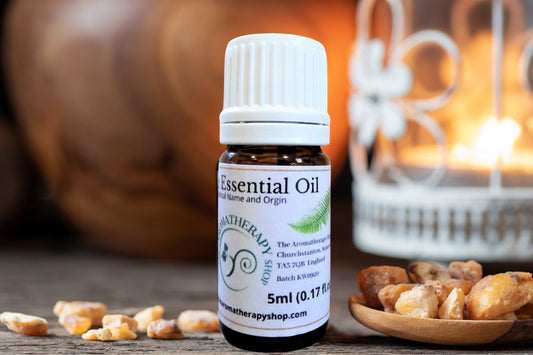 Benzoin Resin Oil / Origin Sumatra, Indonesia