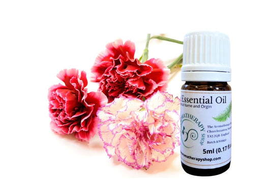 Carnation Pure Essential Oil