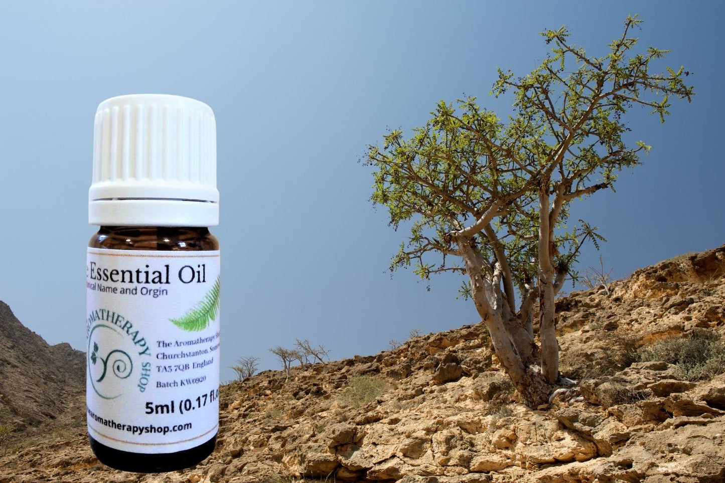 Somalian Frankincense Essential Oil