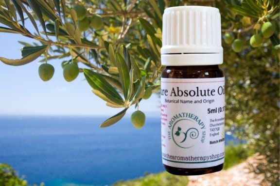 Olive Leaf Absolute