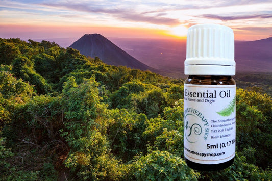 Peru Balsam Essential Oil
