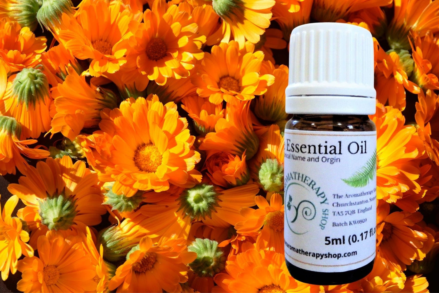 Calendula  / Marigold strong infusion in Sunflower Oil