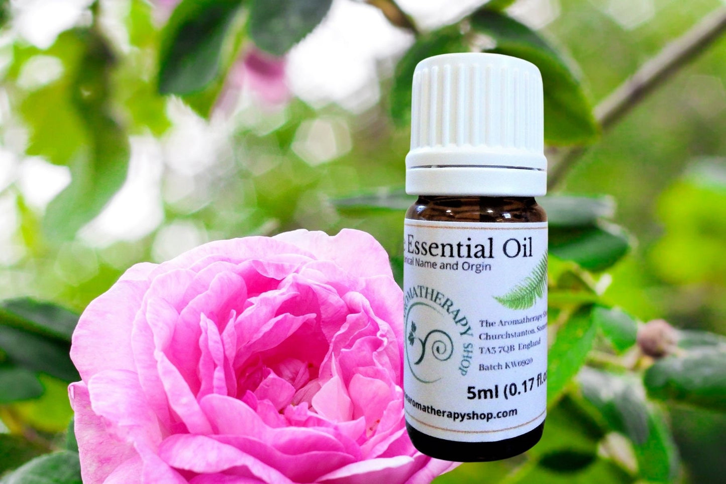 Rose Maroc Essential Oil