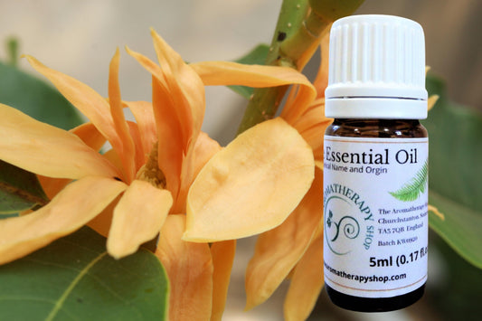 White Champaca Essential Oil