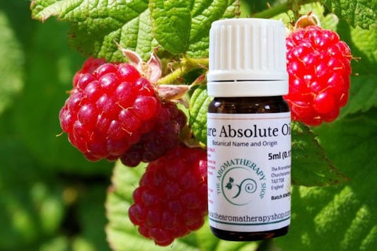 Raspberry Leaf Absolute  / Origin France