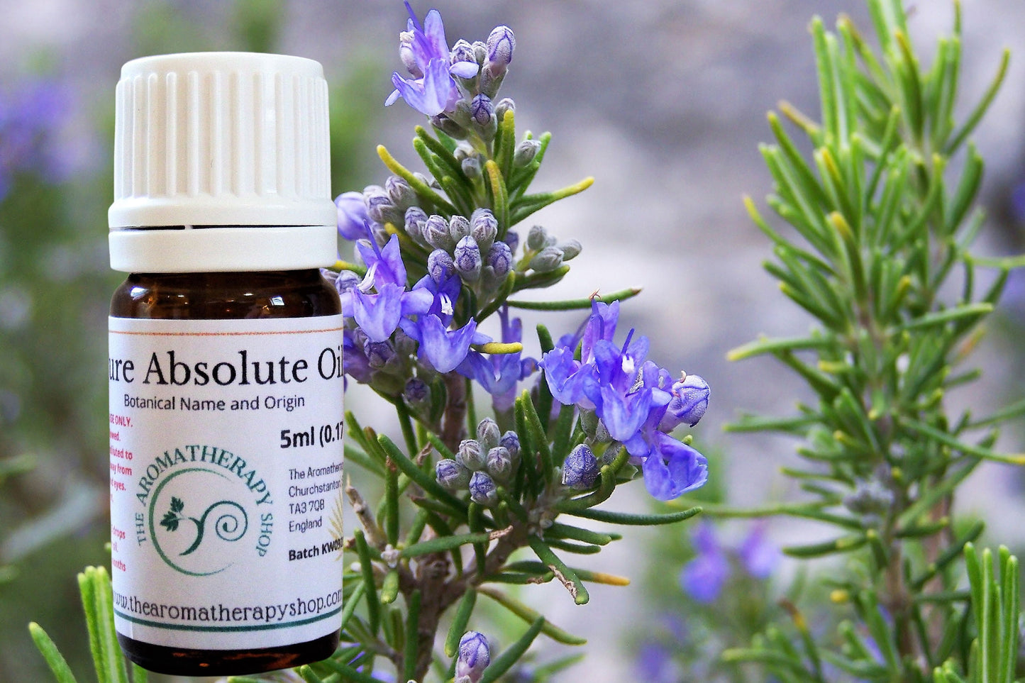 Rosemary Absolute  / Origin France