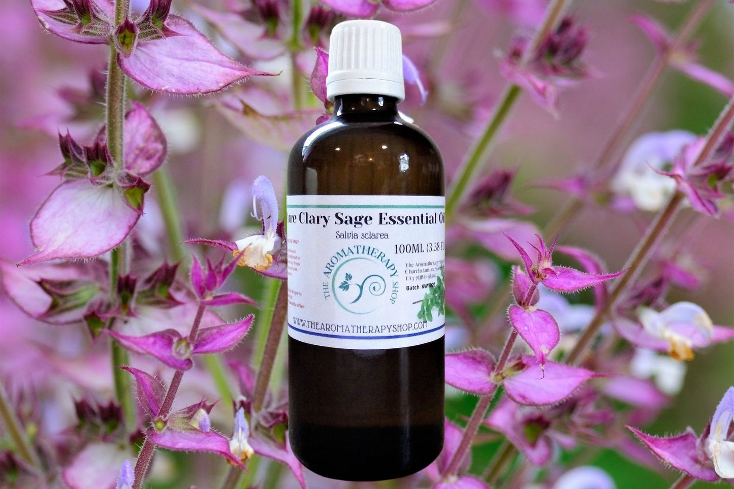 Clary Sage Essential Oil