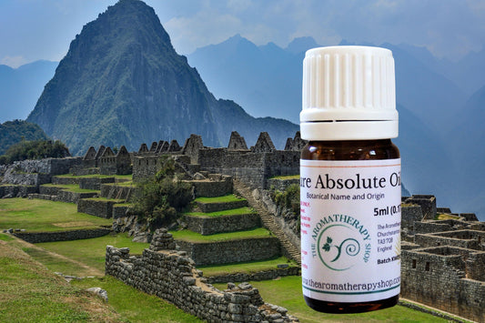 Tolu Balsam Absolute Oil / Origin France