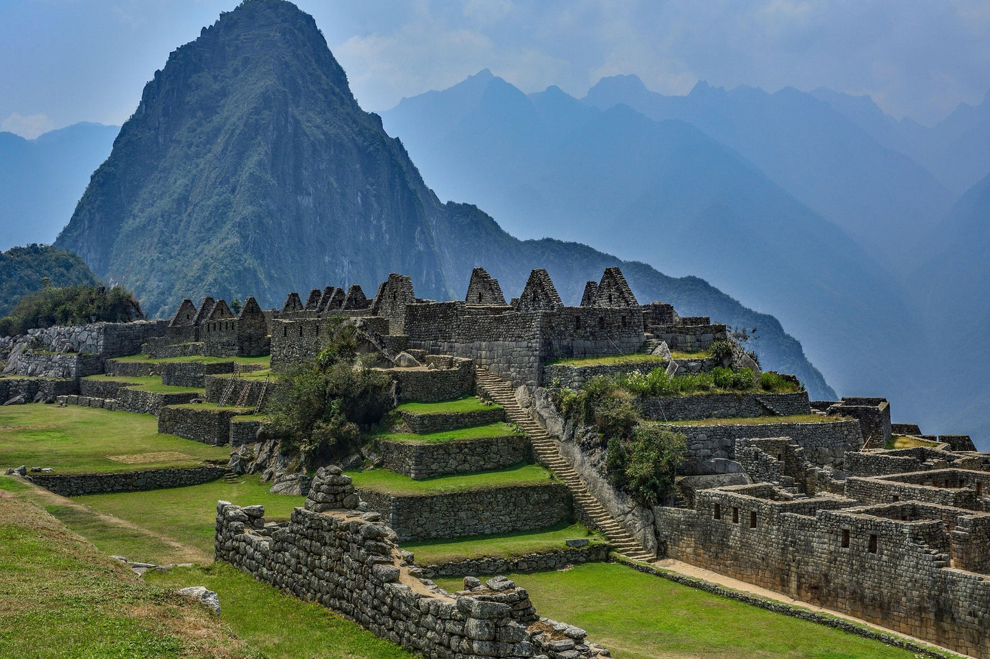 Tolu Balsam Absolute Oil / Origin France