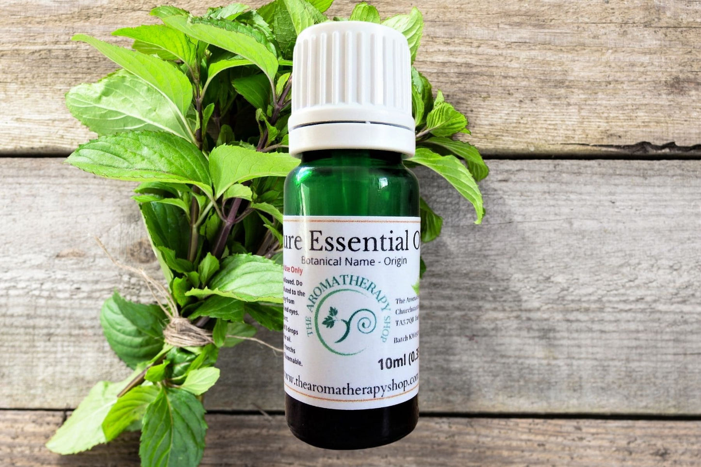 Basil Pure Essential Oil