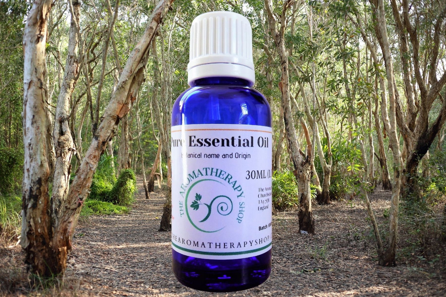 Cajeput Pure Essential Oil