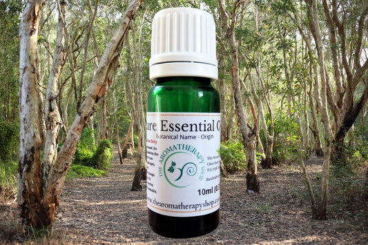 Cajeput Pure Essential Oil