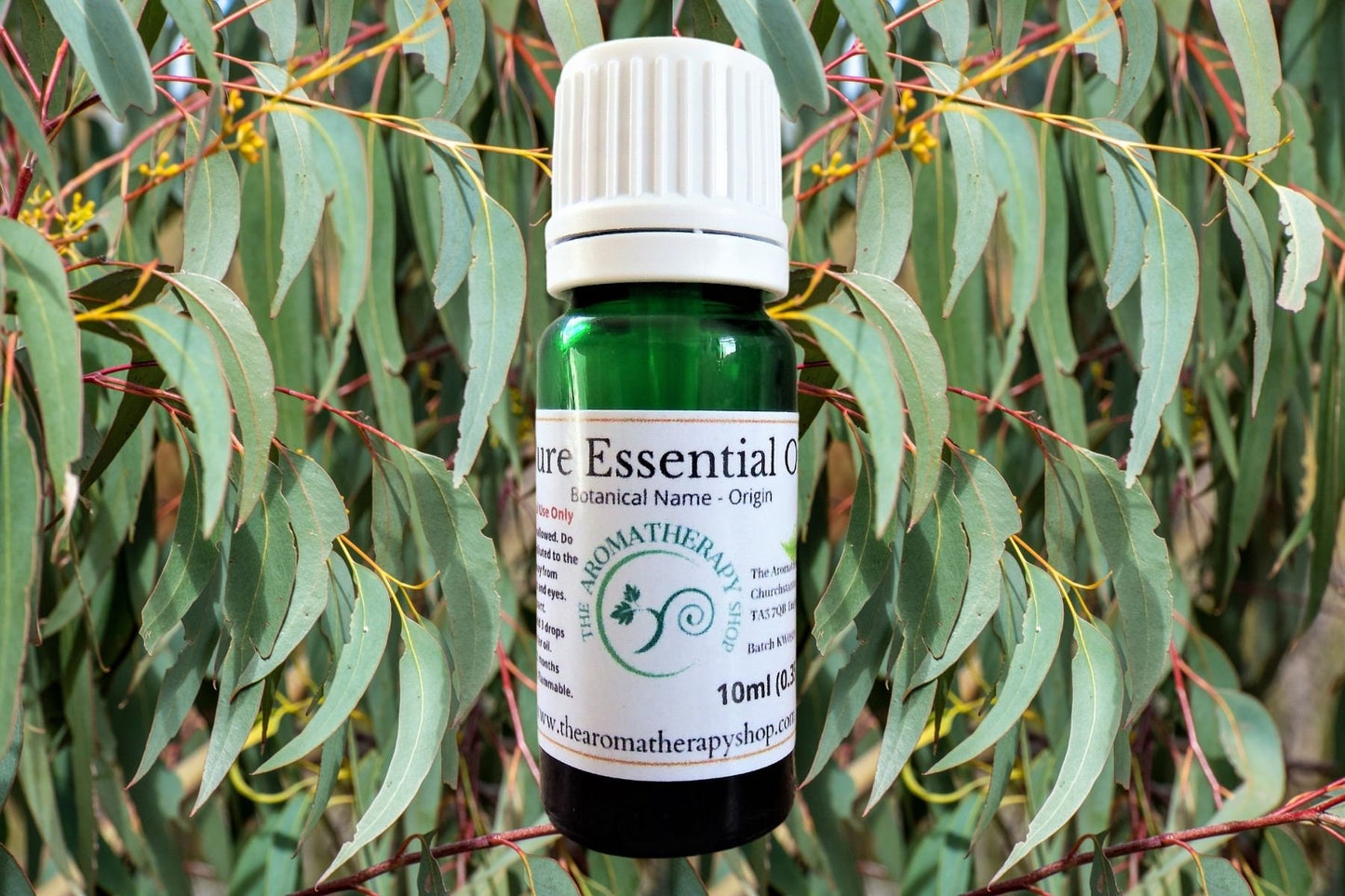 Eucalyptus Peppermint Dives Pure Essential Oil