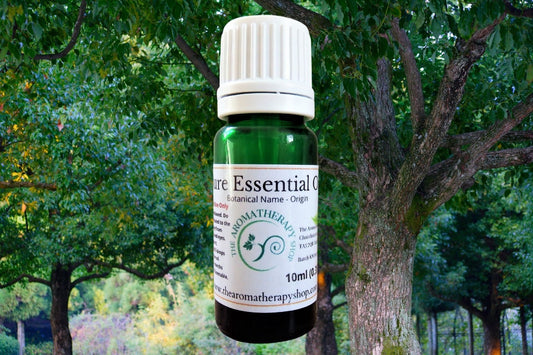 Ho Wood Pure Essential Oil