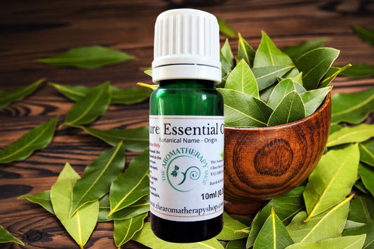 Bay Leaf Pure Essential Oil