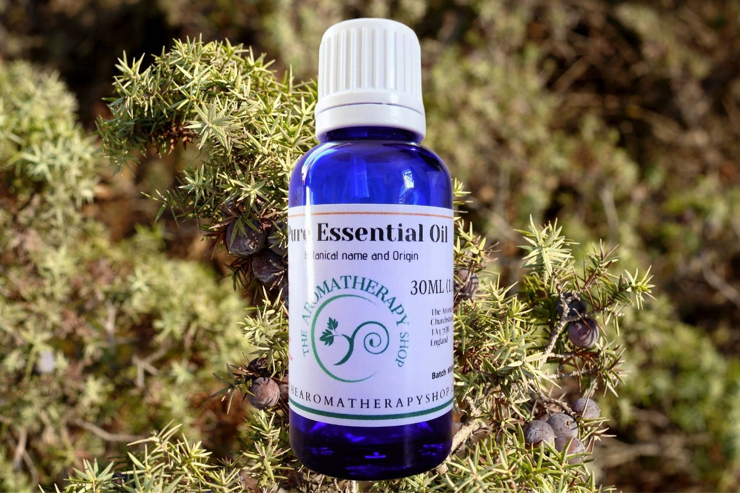 Cade Pure Essential Oil