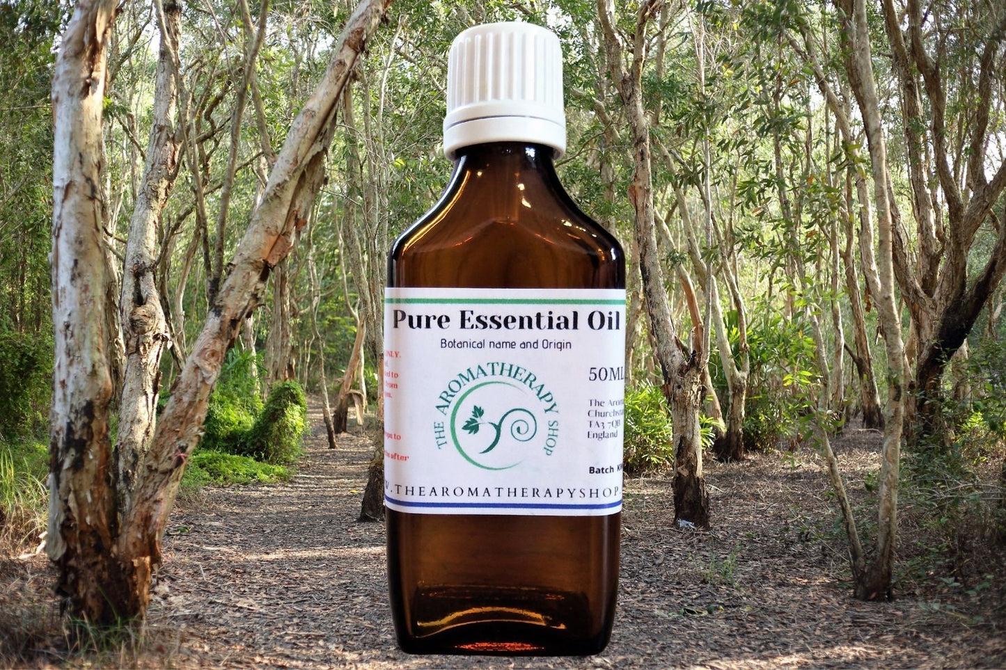 Cajeput Pure Essential Oil