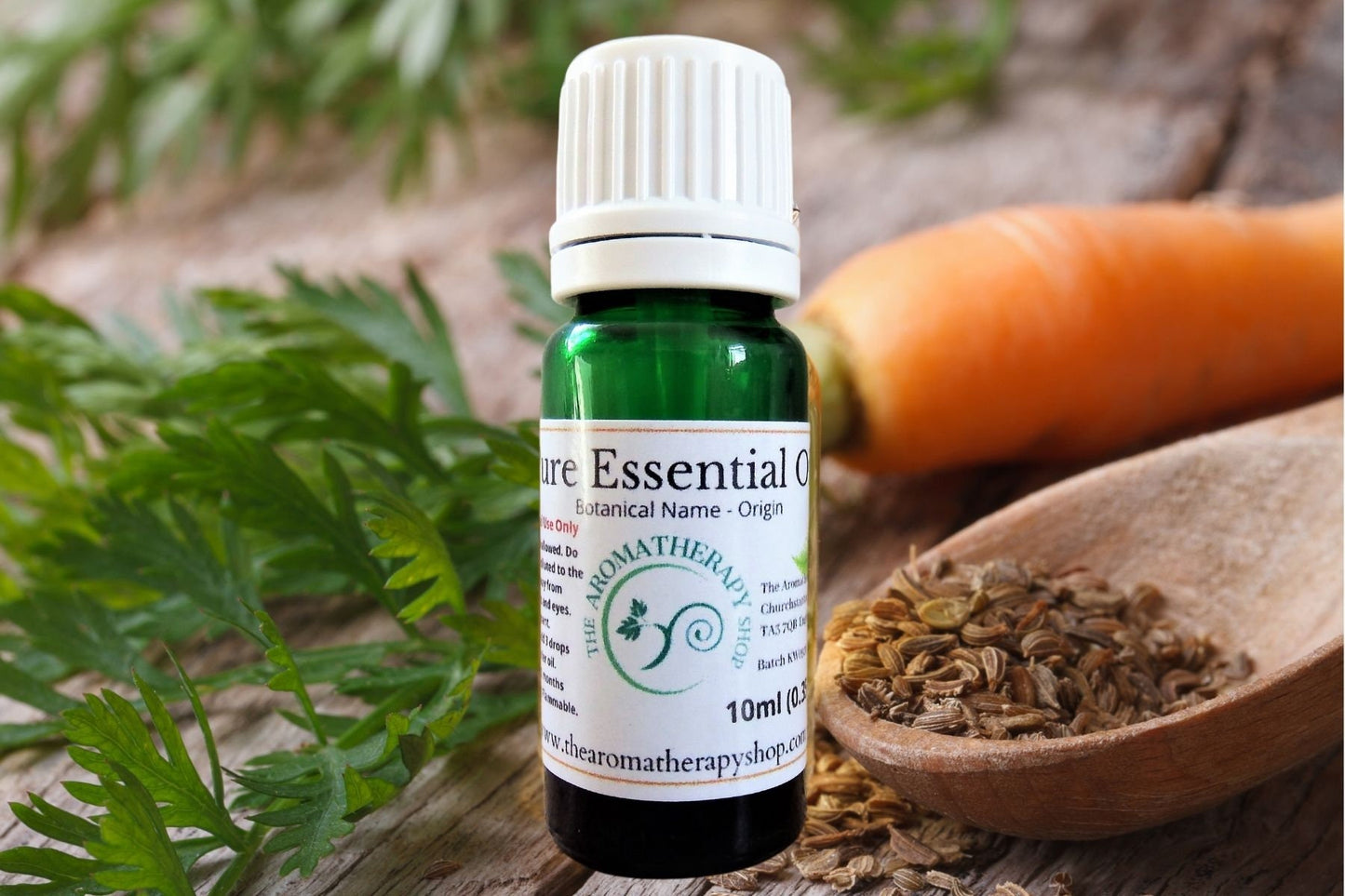 Carrot Seed Pure Essential Oil
