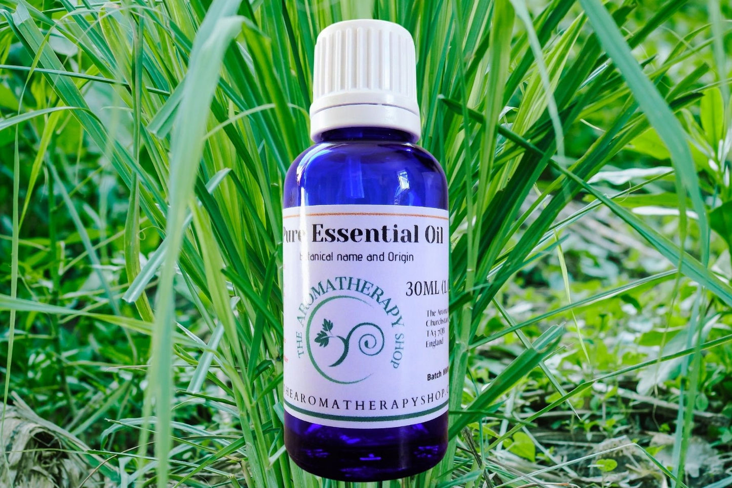 Citral Pure Essential Oil