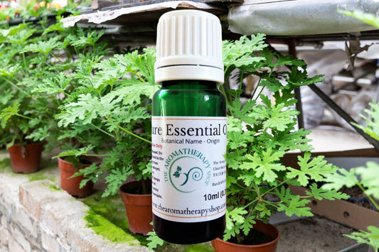 Citronella Pure Essential Oil