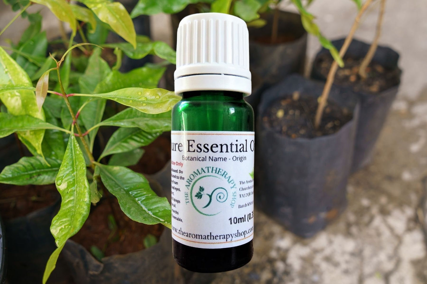 Clove Leaf Pure Essential Oil