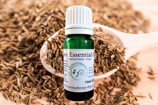 Cumin Seed Pure Essential Oil / Organic