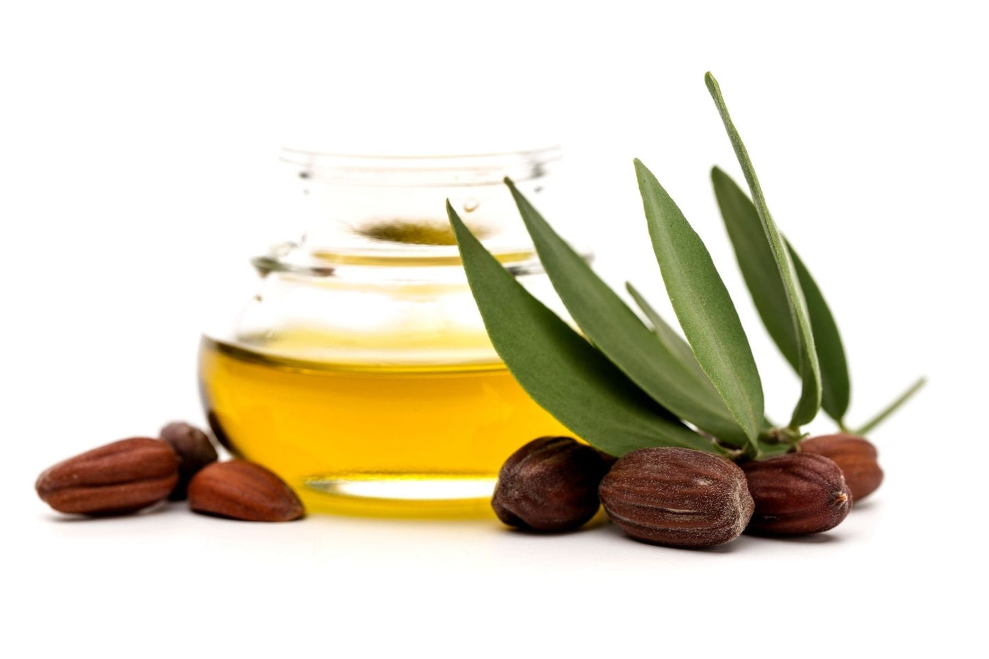 Jojoba Oil / Organic