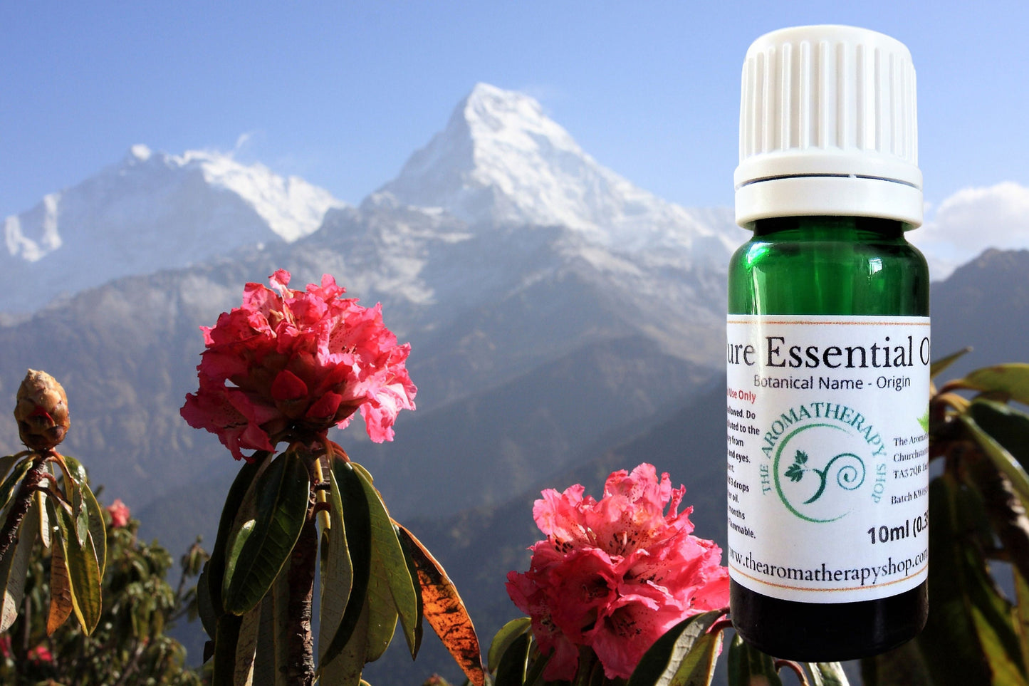 Himalayan Rhododendron Essential Oil / Origin Nepal