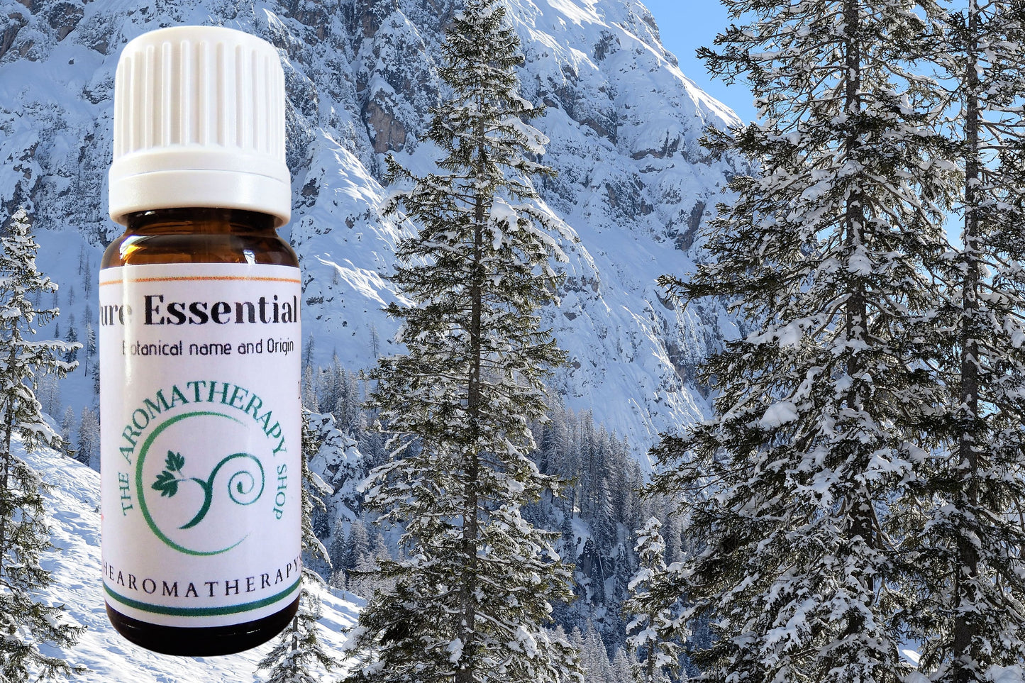 Norway Spruce  Essential Oil / Origin Norway