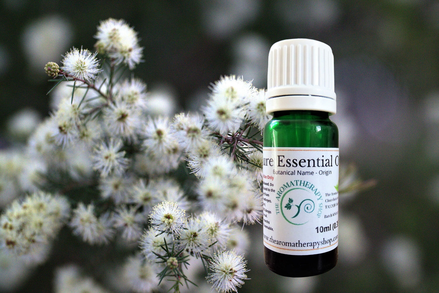 Kunzea (White Cloud) Essential Oil / Origin Tasmania