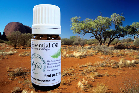 Australian Desert Rosewood Essential Oil / Rare