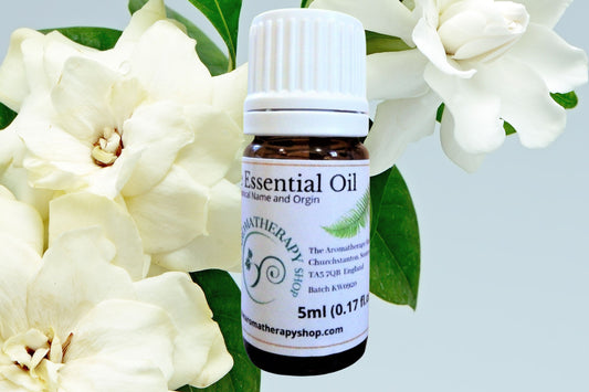 Indian Gardenia Pure Essential Oil / Steam Distilled from the blossoms