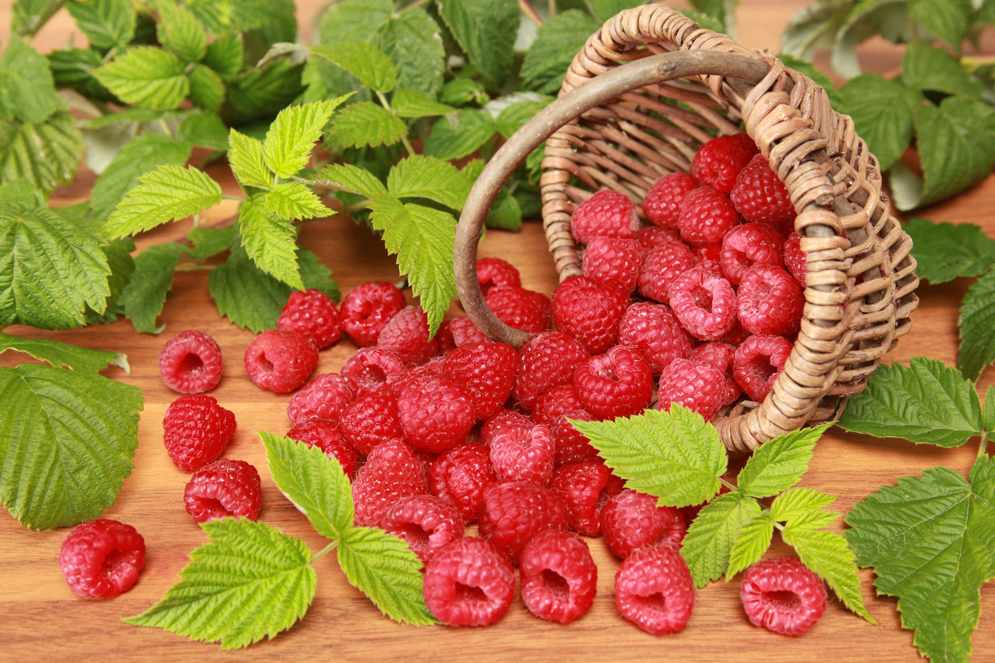 Raspberry Essential Oil / Cold Pressed
