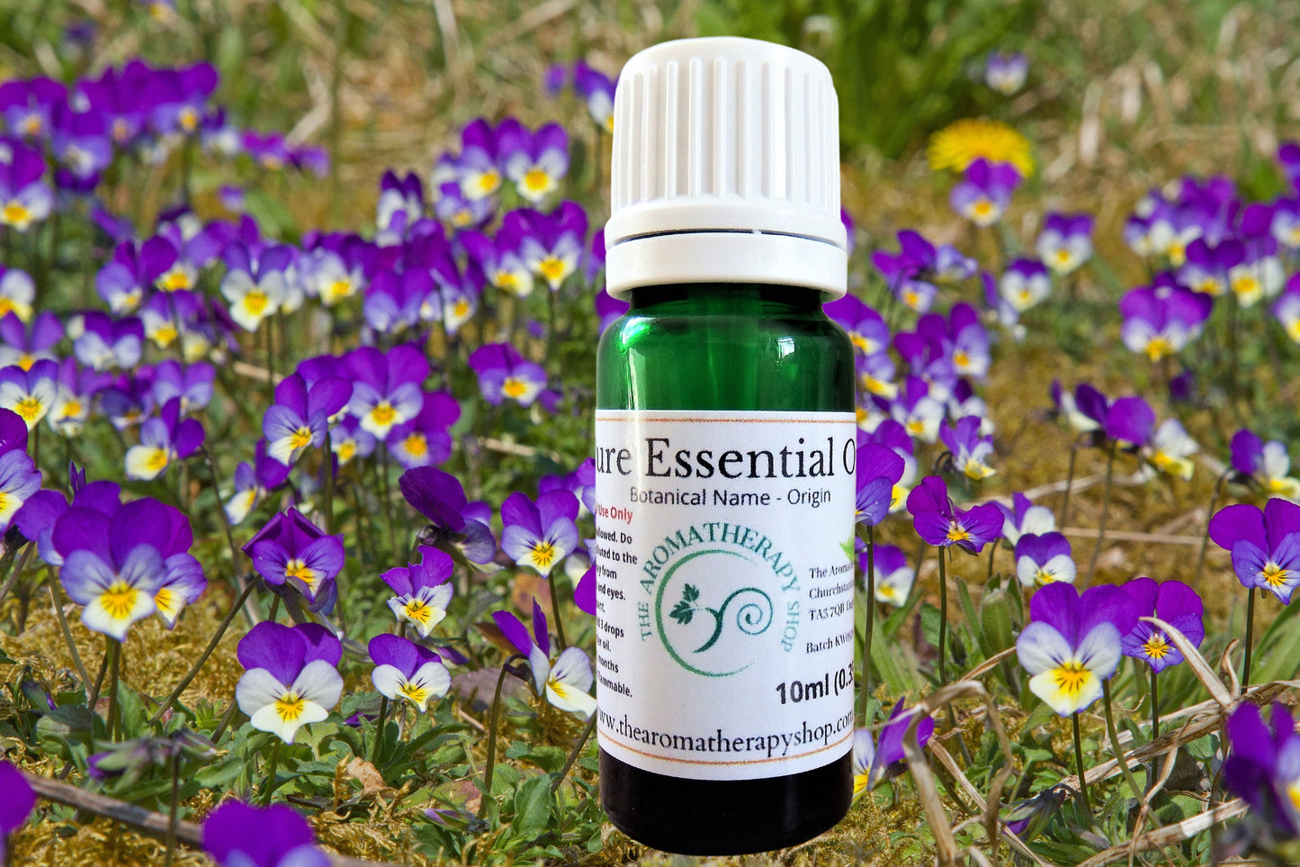 Wild Pansy Pure Essential Oil / Origin Turkey