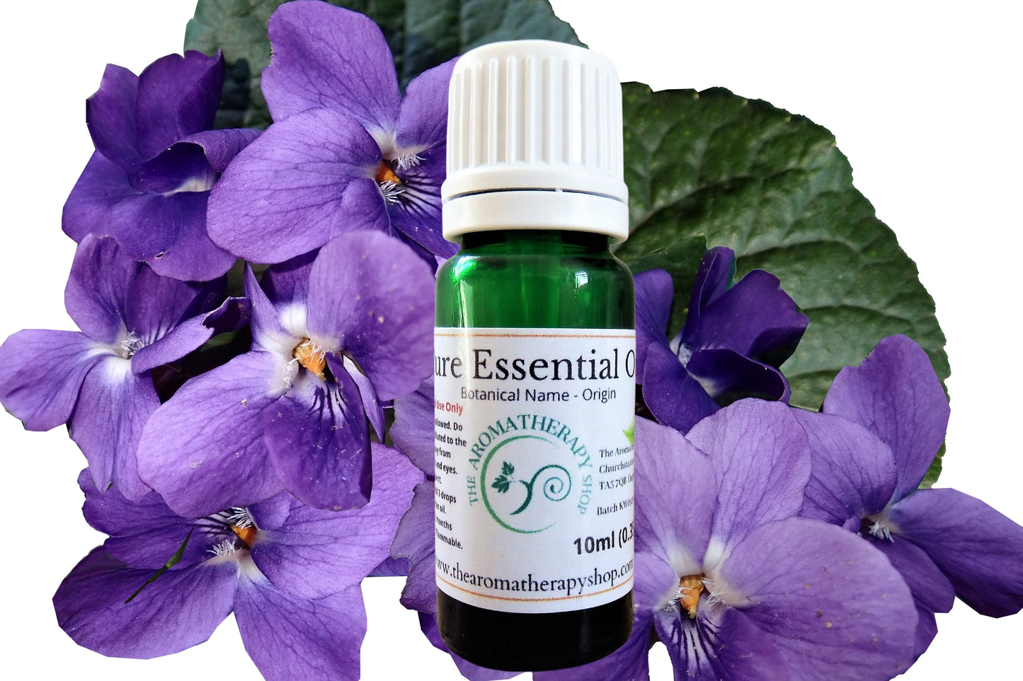 Egyptian Violet Essential Oil