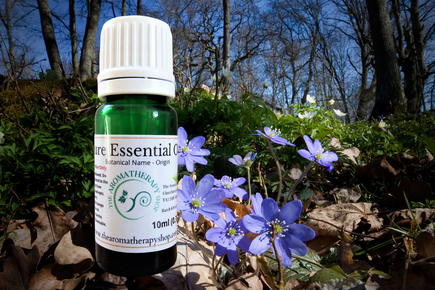 Blue Anemone Essential Oil /Origin Turkey