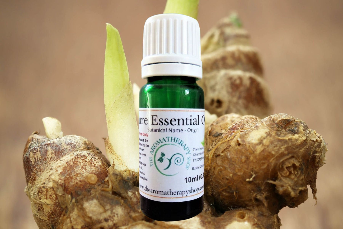 Galangal Pure Essential Oil