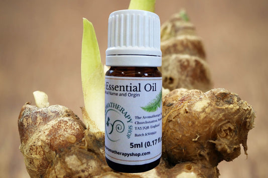 Galangal Pure Essential Oil