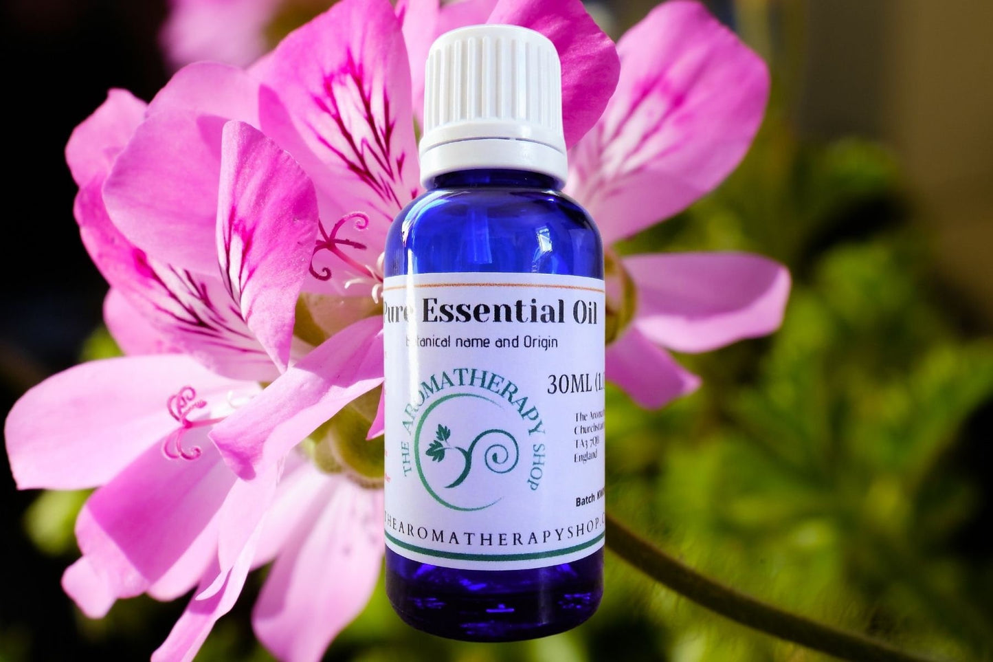 Rose Geranium Pure Essential Oil / Organic