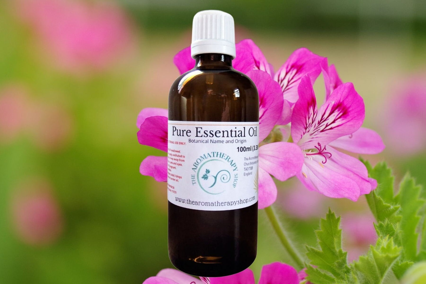 Rose Geranium Pure Essential Oil / Organic