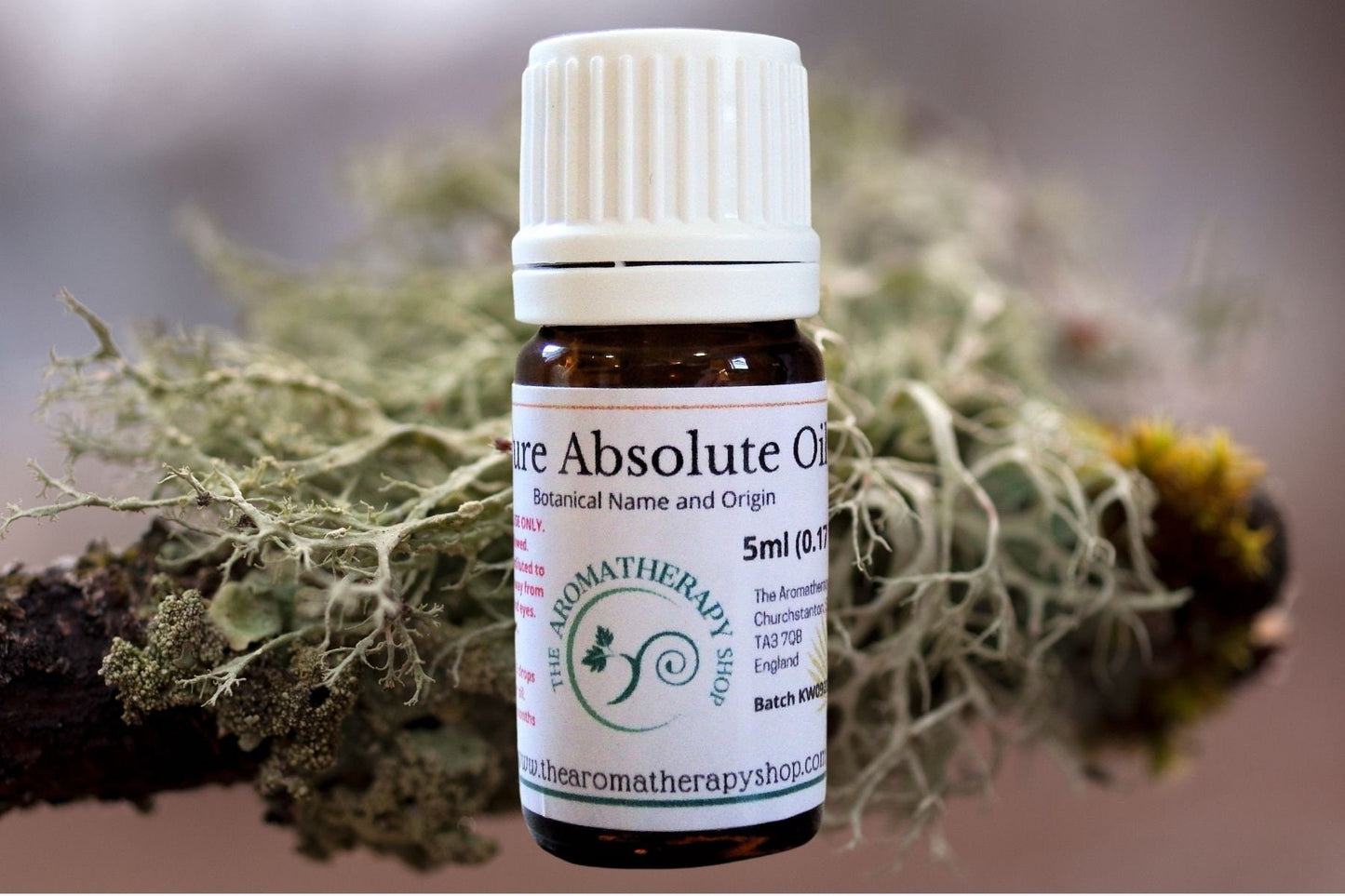 Oakmoss Absolute Oil / Origin: Southern Asia