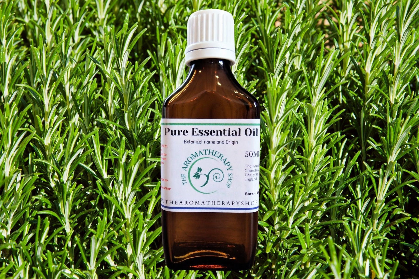 Rosemary Pure Essential Oil / Organic