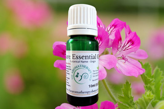 Rose Geranium Pure Essential Oil / Organic