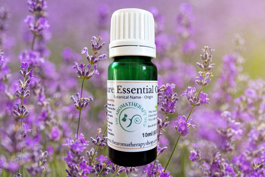 English Lavender Essential Oil