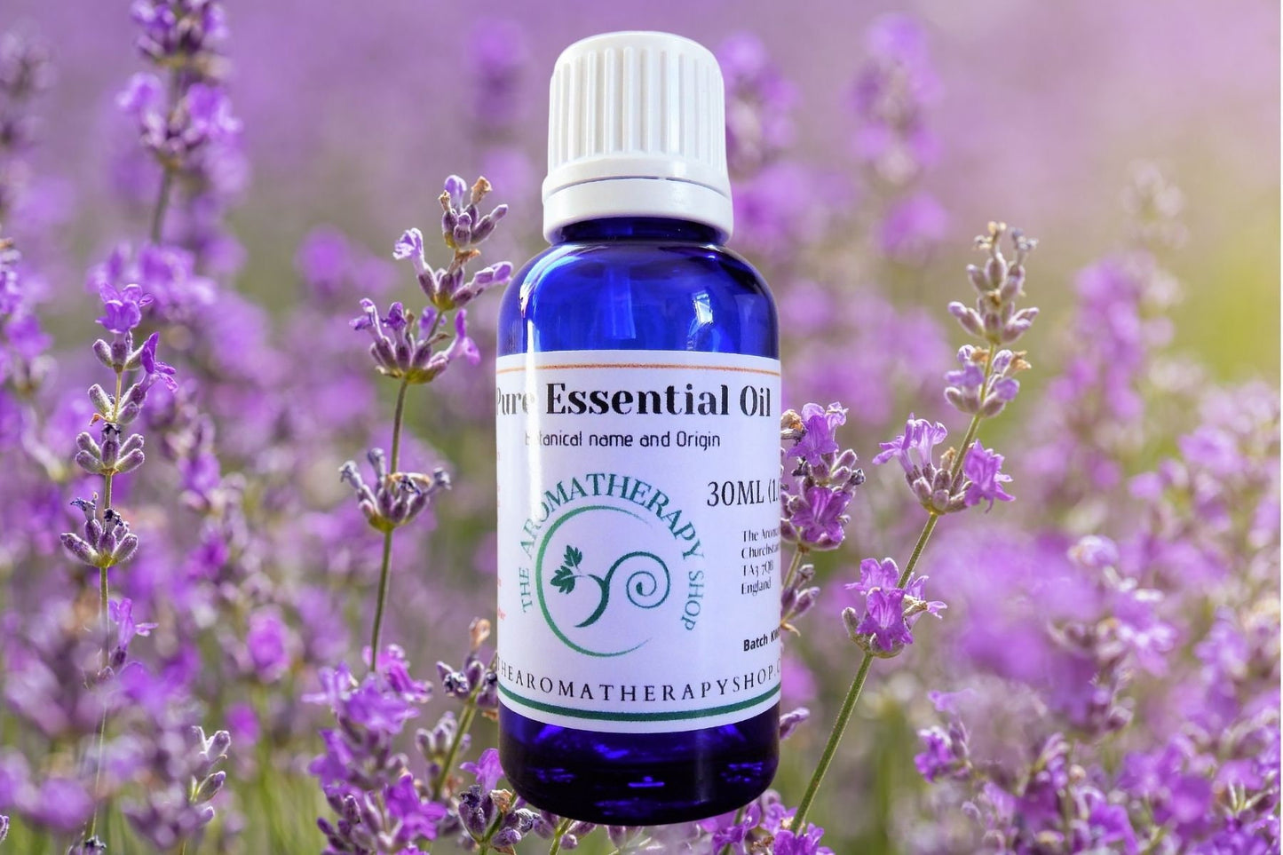 English Lavender Essential Oil