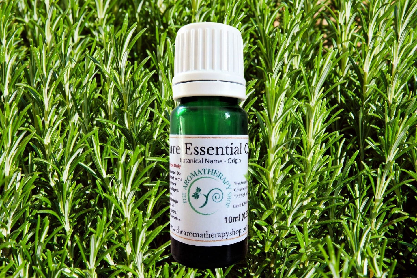 Rosemary Pure Essential Oil / Organic