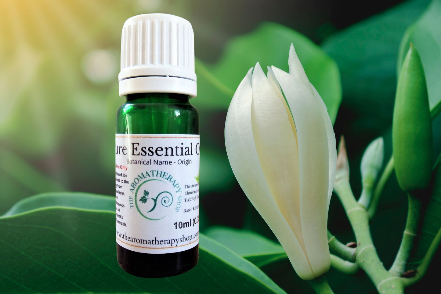 Organic Magnolia Essential Oil